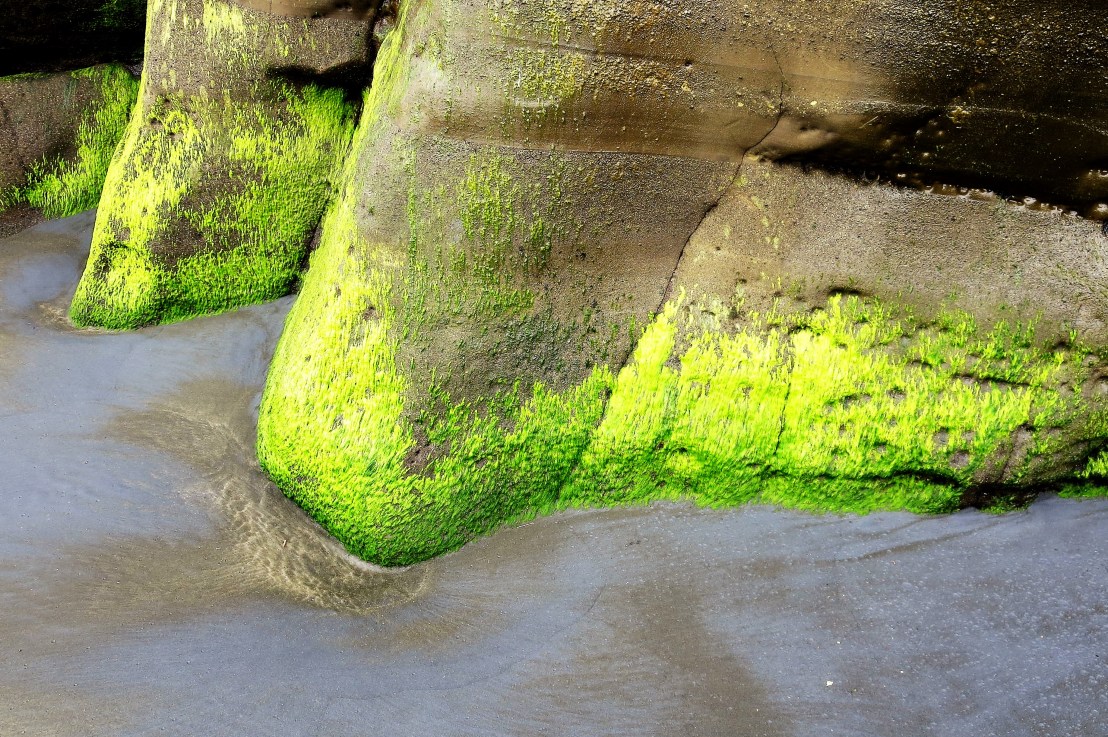 Back in the&nbsp;Saddle